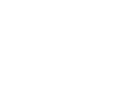 devenick designs logo