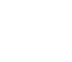 devenick designs logo