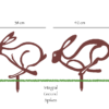 Running Hares Sizes