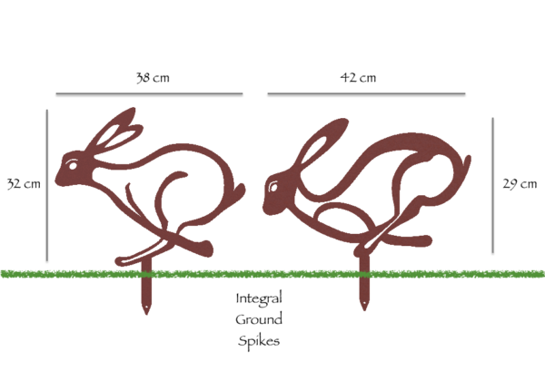 Running Hares Sizes