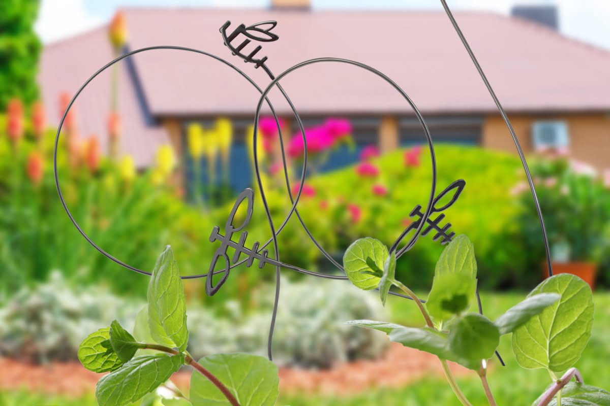 Flowerbed with beautiful blooming flowers against European style house