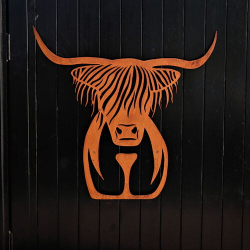 rusty highland cow