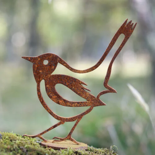 rusty wren